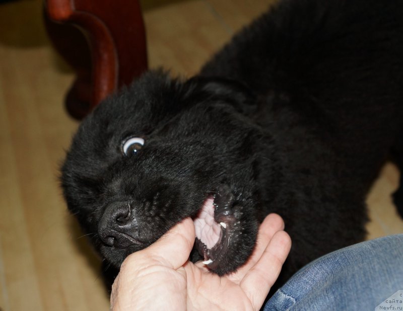 Фотография № 160414