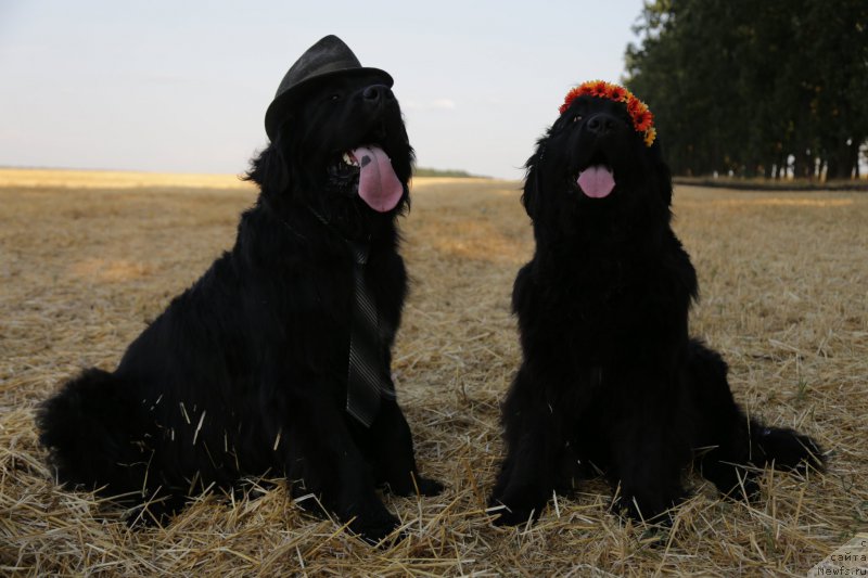 Фотография № 160416