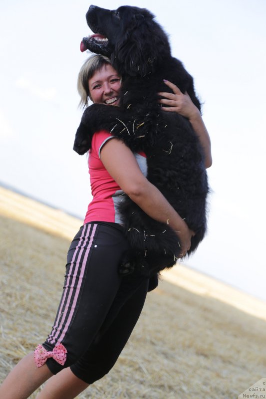 Фотография № 160419