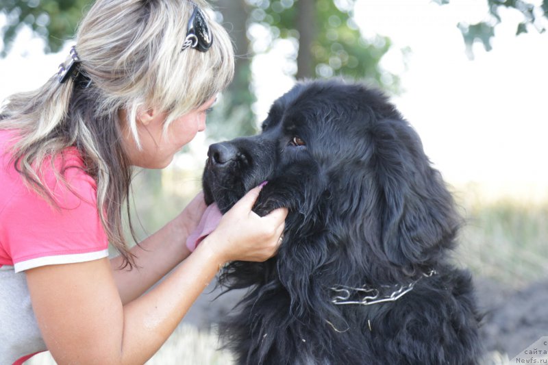 Фотография № 160420