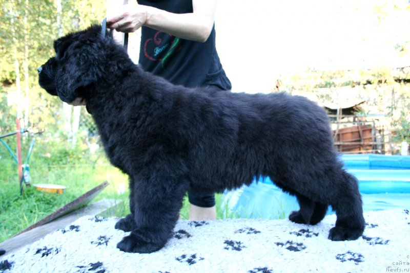 Фотография № 160488