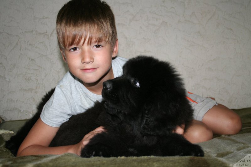 Фотография № 160501