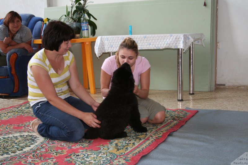 Фотография № 160502