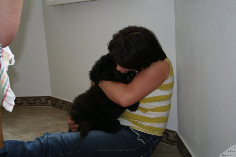 Фотография № 160504