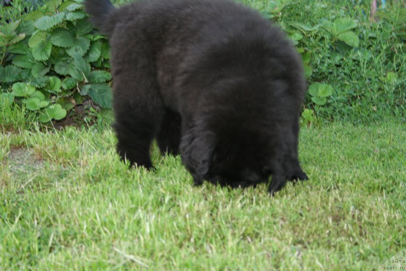 Фотография № 160505