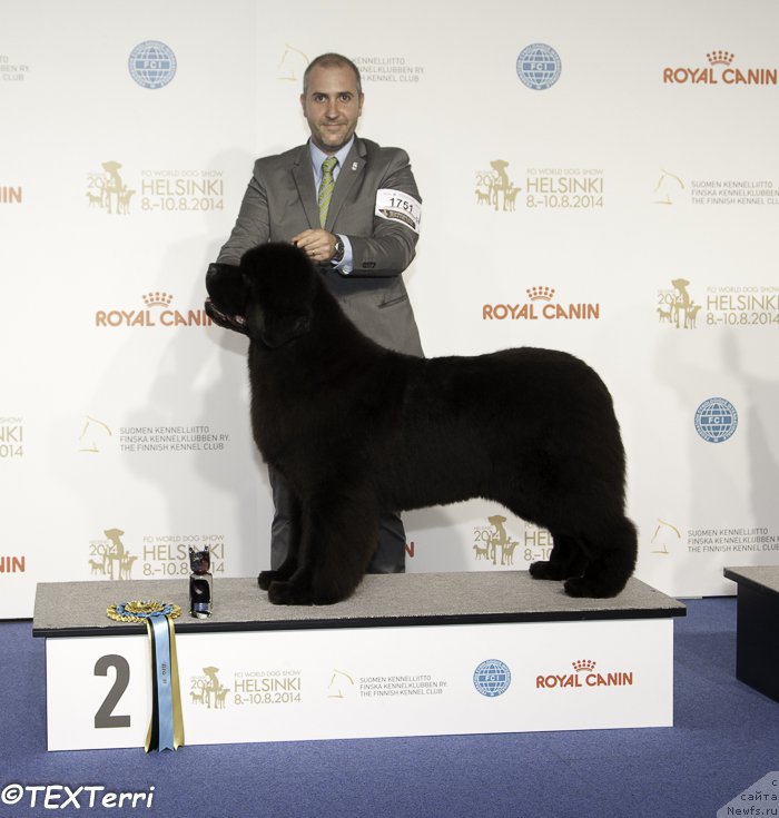 Фотография № 160538