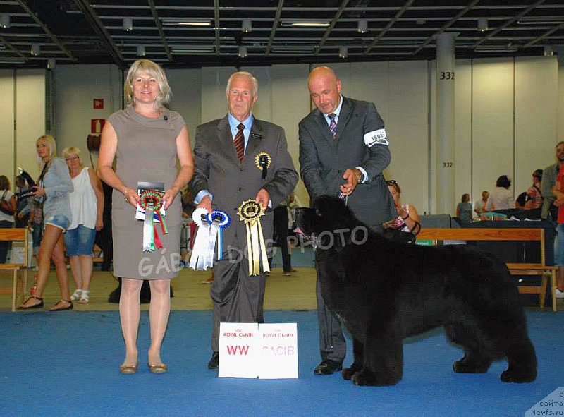 Фотография № 160540