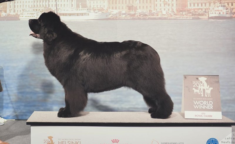 Фотография № 160556