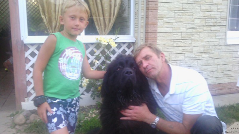 Фото: ньюфаундленд Закари Остин Пауэрс