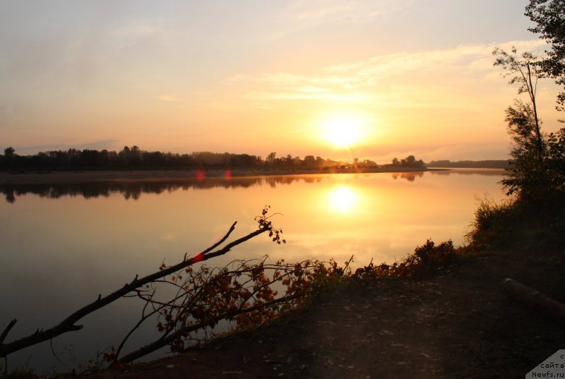 Фотография № 160605