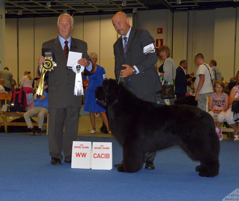 Фотография № 160610