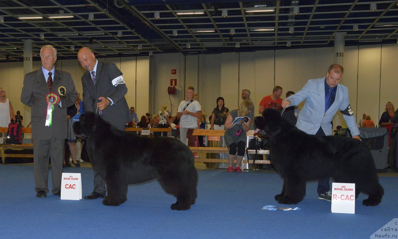 Фотография № 160611