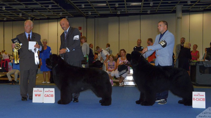 Фото: CACIB & RCACIB