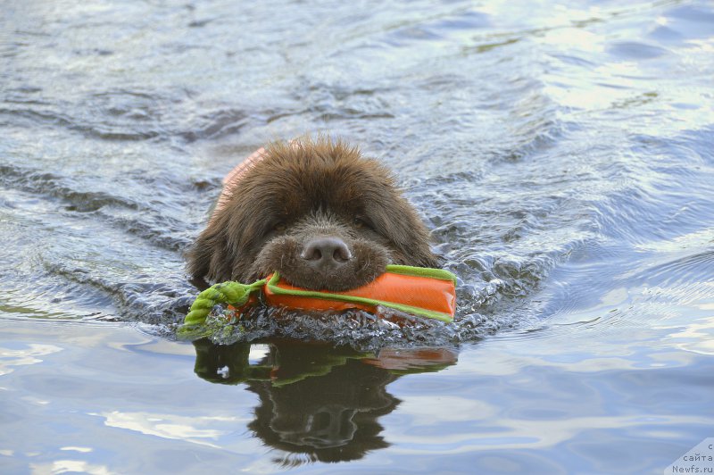 Фотография № 160617