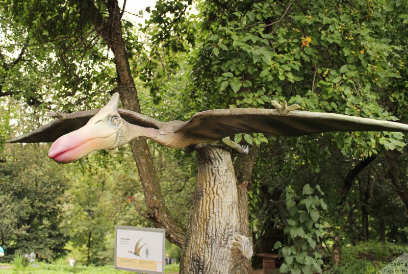 Фотография № 160650