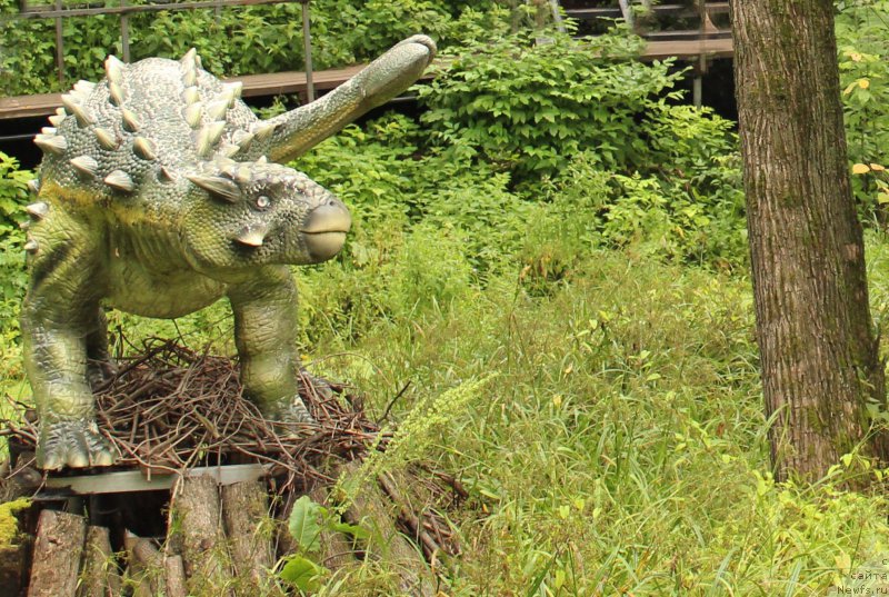 Фотография № 160654