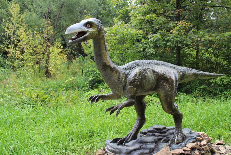 Фотография № 160655