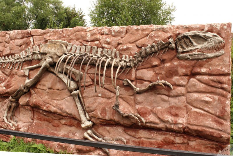 Фотография № 160659