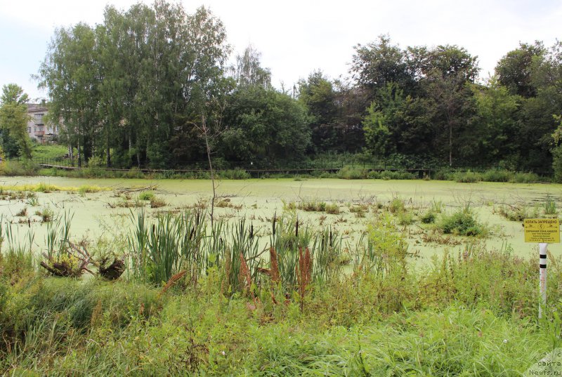 Фотография № 160660