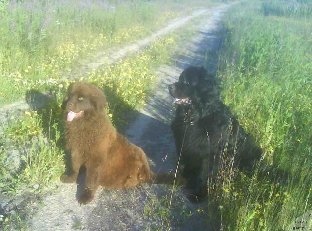 Фотография № 16068