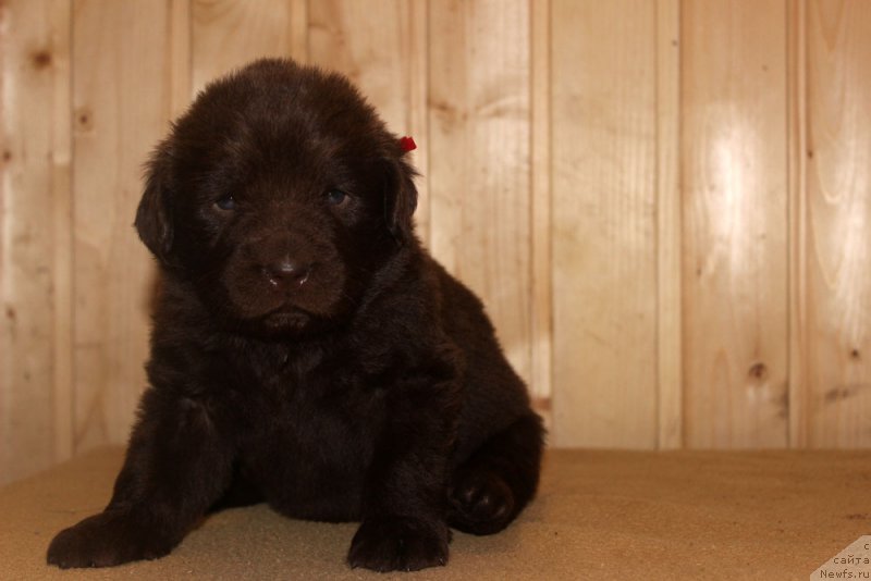 Фотография № 160688