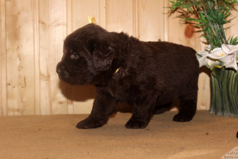 Фотография № 160695