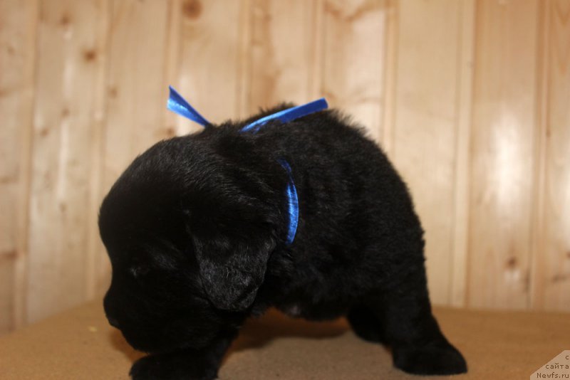 Фотография № 160709