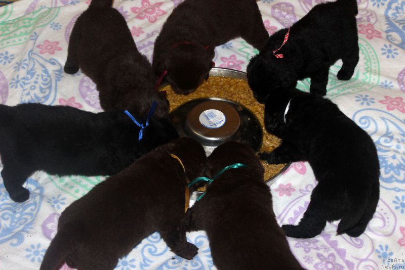 Фотография № 160725