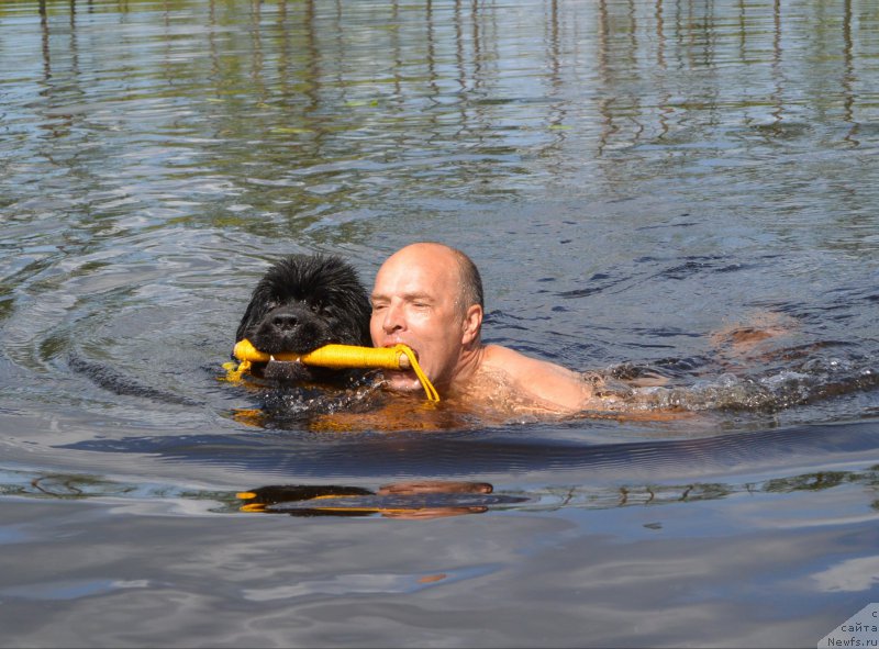 Фотография № 160731