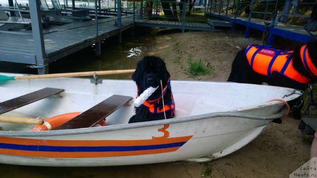 Фотография № 160742