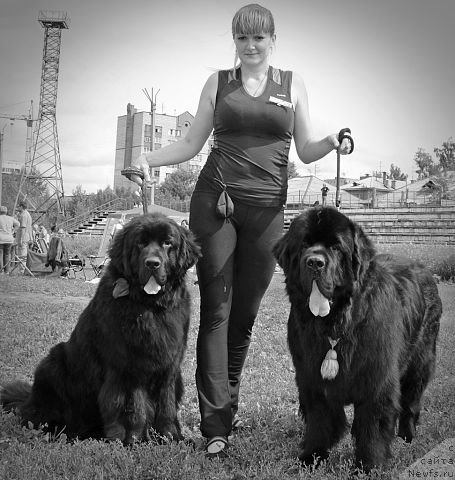 Фото: ньюфаундленд Rayout Happiness Midnight Bear, ньюфаундленд Бегущая по Волнам Шаолинь (Beguschaya po Volnam Shaolin), Иван Тиханович