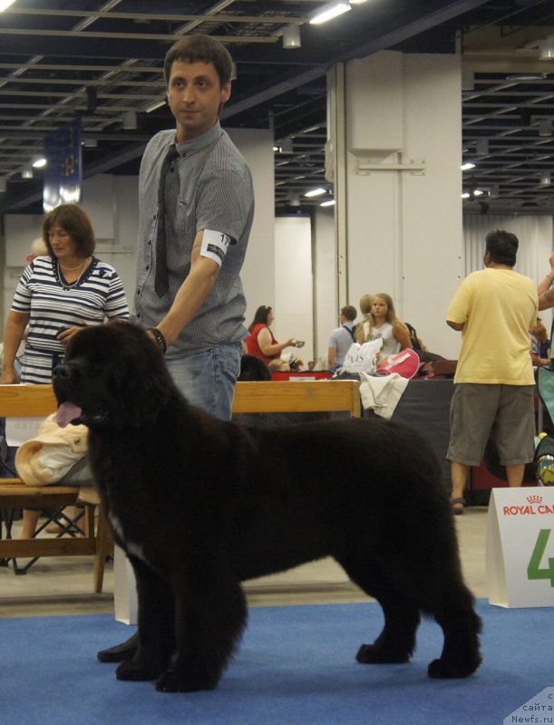 Фотография № 160758