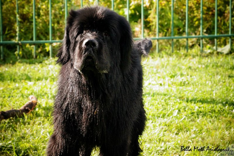 Фотография № 160761