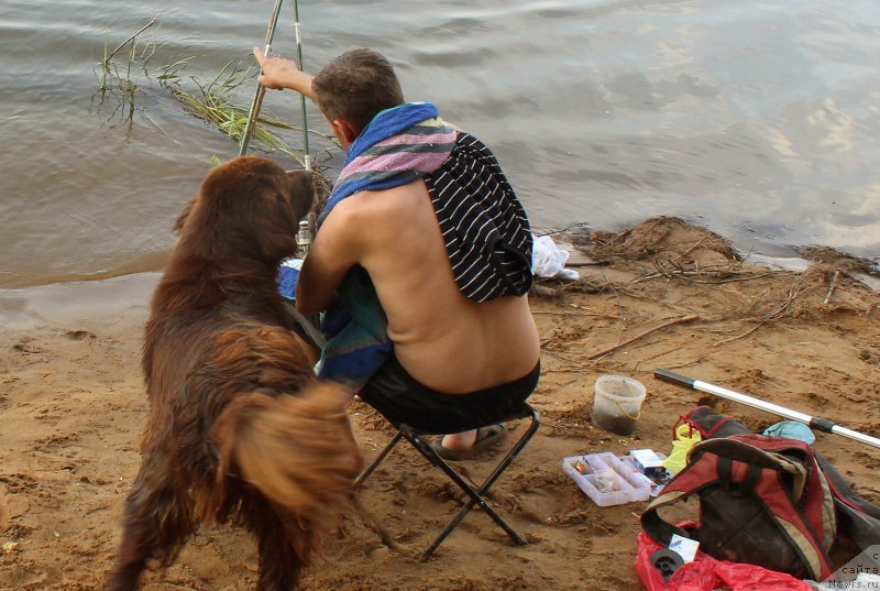 Фотография № 160769