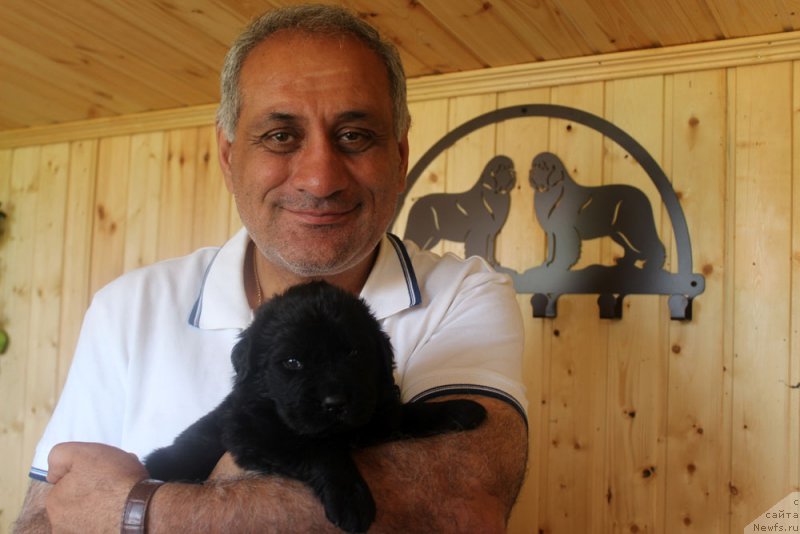 Фотография № 160790