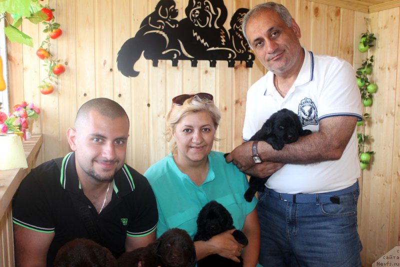 Фотография № 160793