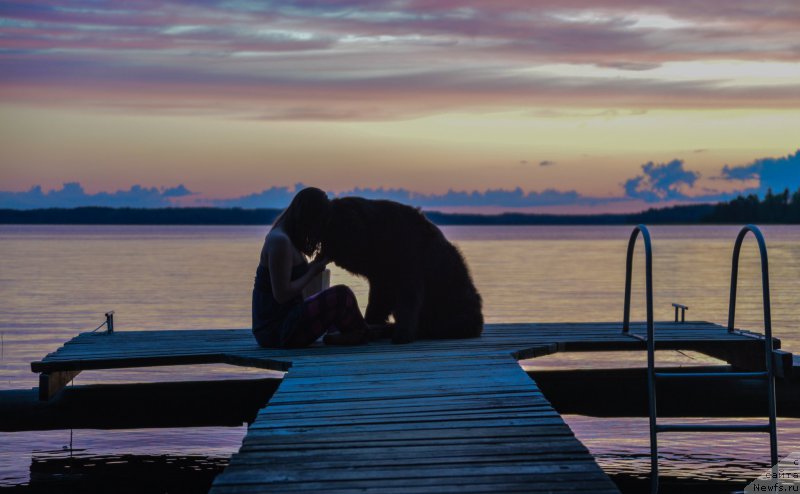 Фото: ньюфаундленд Смигар Ливерпульский Четвертак (Smigar Liverpulsiy Chetvertak), Екатерина Заславская