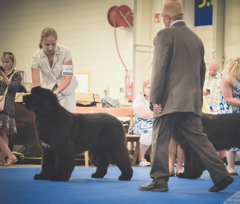 Фотография № 160814