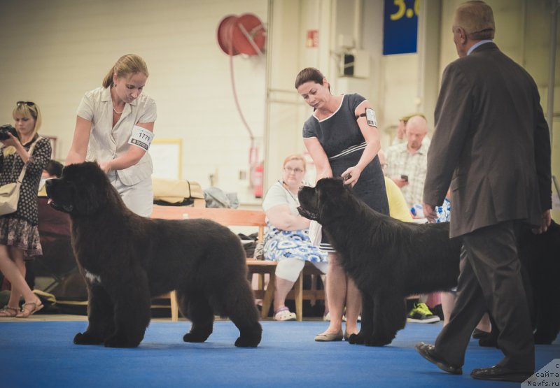 Фотография № 160815