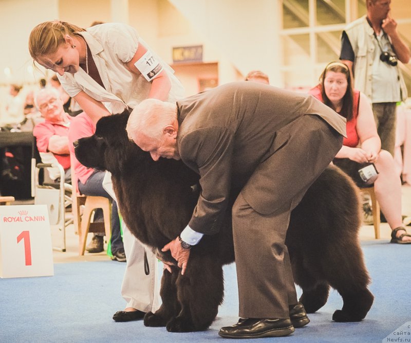 Фотография № 160816