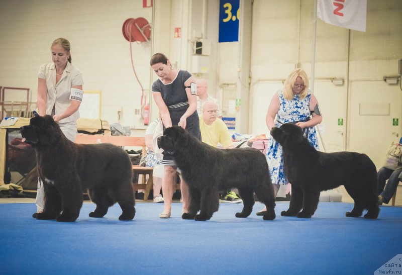 Фотография № 160817