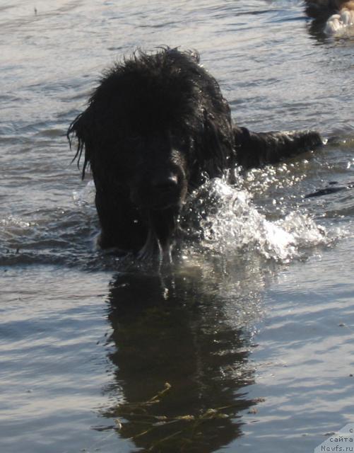 Фотография № 16082