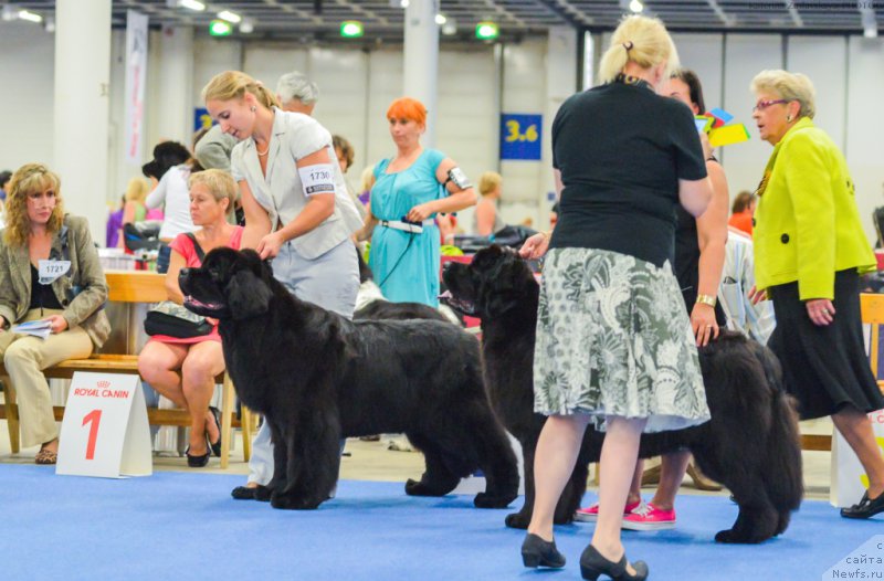 Фотография № 160820