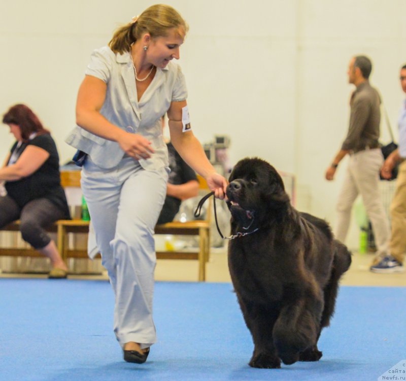 Фотография № 160821