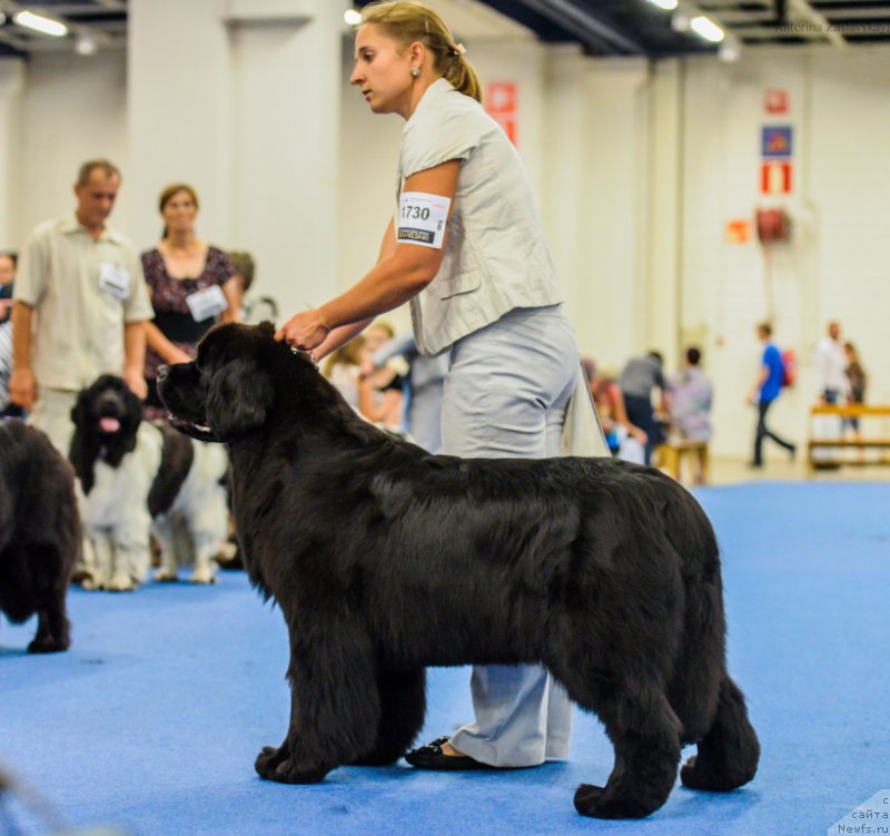 Фотография № 160822