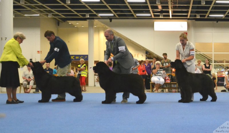 Фотография № 160823