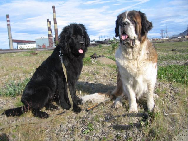 Фотография № 16084