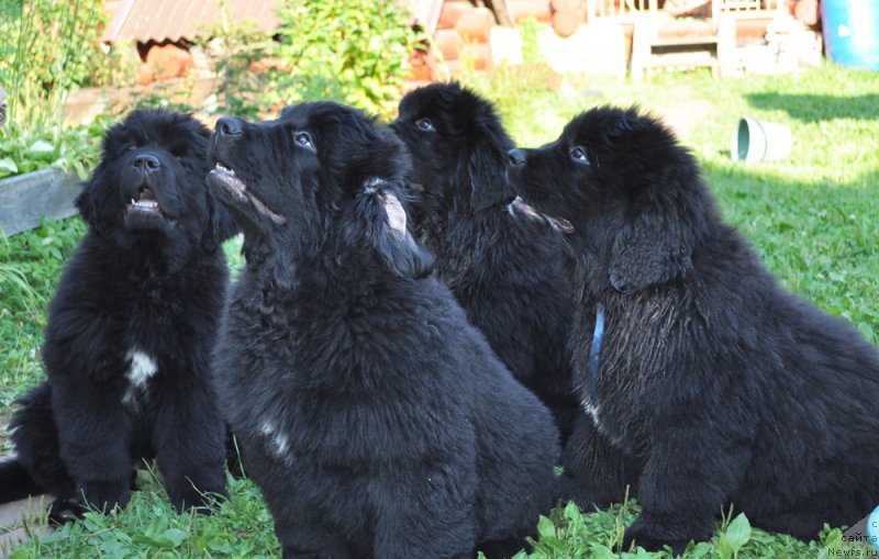 Фото: Татьяна Абутова