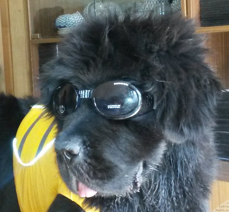 Фотография № 160846