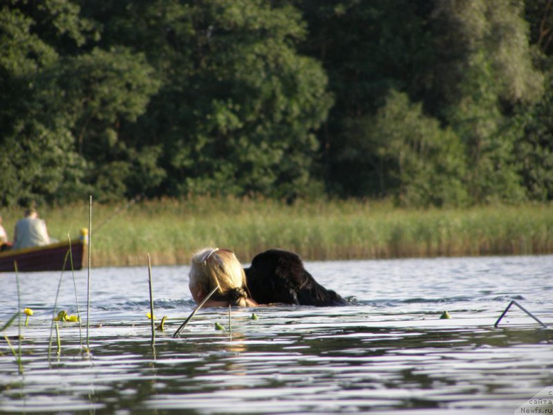 Фотография № 160852